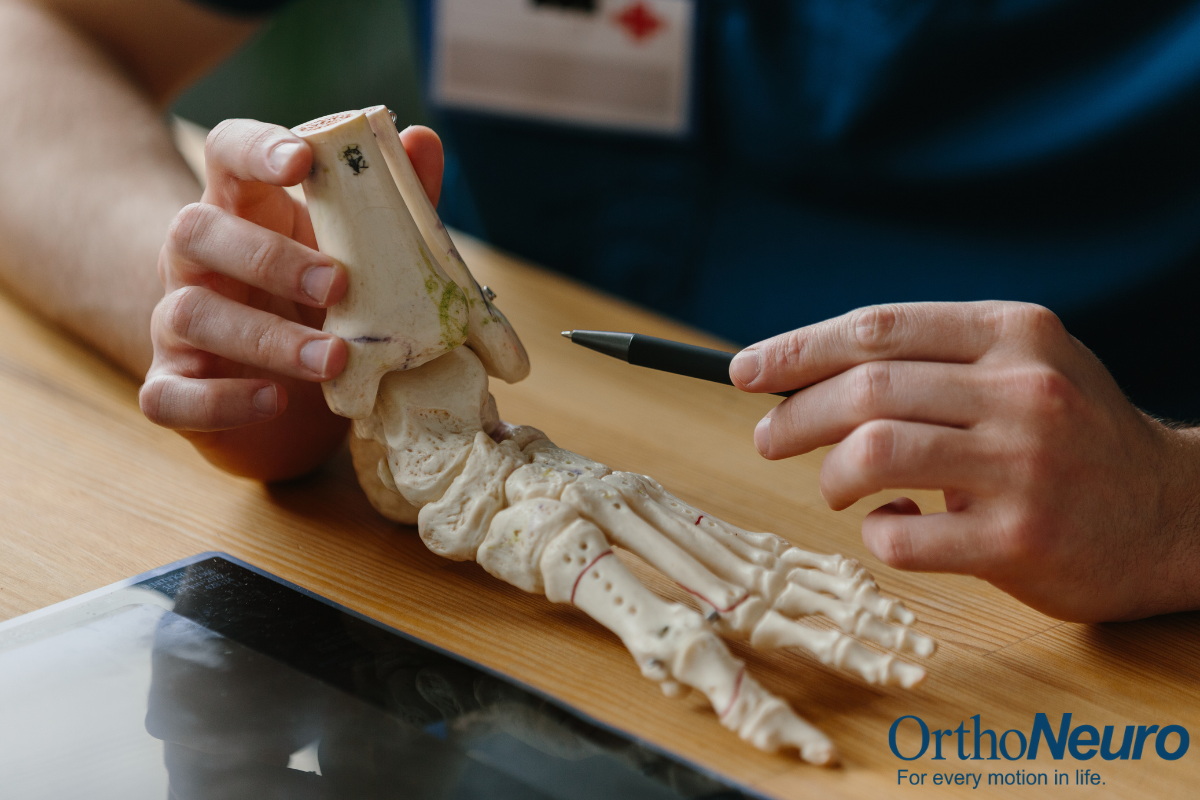 An orthopedic doctor explaining a foot condition using an anatomical model in Columbus, Ohio.